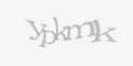 Защитный код