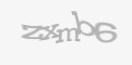 Защитный код