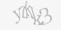 Защитный код