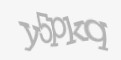 Защитный код