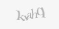 Защитный код