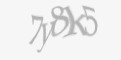 Защитный код